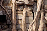 Angkor Wat - click to see larger photography